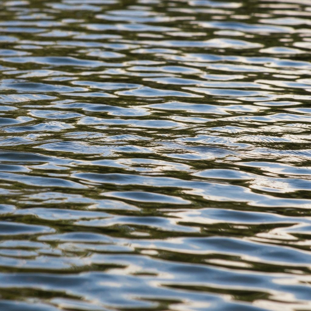 Wasser-Element in der Natur